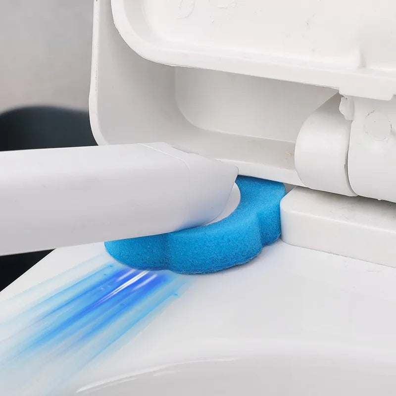 Snap-Scrub clean kit